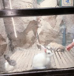 -酷嗒动物文化乐园(cutezoo西溪乐天城店)