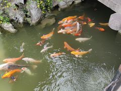 -檀园