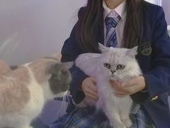 -极木²邸 人与宠物·互动社区