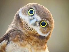 -上海市浦东医院-停车场