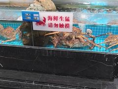 -味到1981日照海鲜·渔饺子