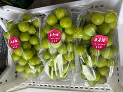 -马陆小张葡萄园农家乐