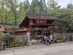 -青城甲(青城山店)