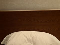 -天明山温泉大酒店