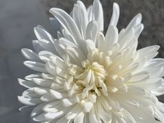 -侵华日军南京大屠杀遇难同胞纪念馆