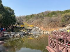 -北京西山国家森林公园