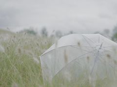 -白鹭湾湿地公园