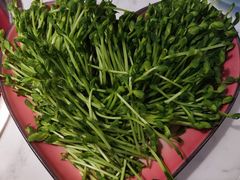 活体有机豆苗-捞神煲汤火锅(湖滨商业街店)