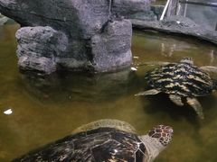-北海·海洋之窗