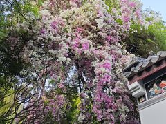 -深圳国际园林花卉博览园