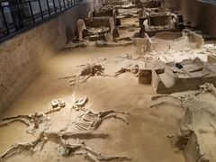 -洛阳周王城天子驾六博物馆