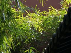 -钱王祠