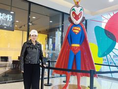 -红星美凯龙北京至尊MALL(东四环中路店)