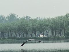 -WhaleSports户外水上运动俱乐部(朝阳公园店)
