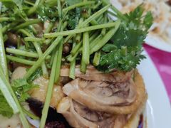 白切鸡-电白鸭粥店(下沙二坊88号店)
