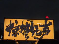 -枫花园汽车电影院(朝阳公园店)