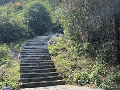 -南宁花花大世界景区