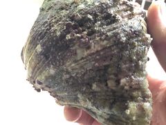 -海盗餐厅