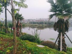 -枫香湖儿童公园