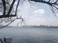 -无锡蠡湖国家湿地公园-蠡园