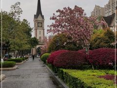 -成都南湖公园