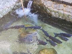 -耕渔小院·湖南鱼鲜(望城店)
