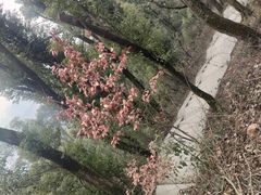 -喻家山