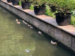 -浙江省博物馆(孤山馆区)