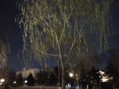 -西海子公园