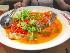 -坛宗剁椒鱼头(河西王府井店)