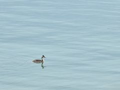 -贡湖湾湿地公园