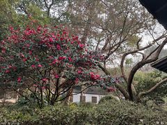 -杭州植物园
