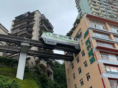 -李子坝梁山鸡(李子坝大鸡哥店)