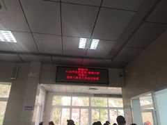 -枸杞岛