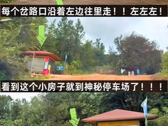 -长虫山生态公园风景林