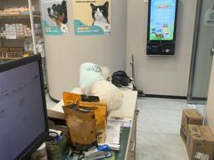 -瑞鹏宠物医院·骨科·猫科·内科(第一中心)