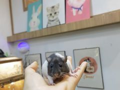 -藦茜花园宠物主题亲子互动体验馆(国顺东路店)