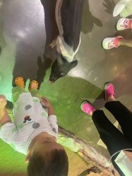 -Zoolung Zoolung动物主题公园(海信广场店)