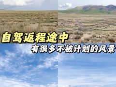 -茶卡盐湖