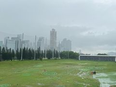 -棕榈泉国际高尔夫学院