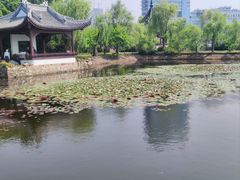 -无锡蠡湖国家湿地公园-蠡园