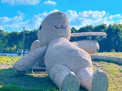 -嘉北郊野公园