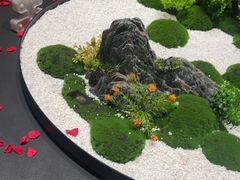-曼格纳·曼芯馆(杨浦店)
