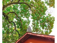 -中国观音故里广德景区