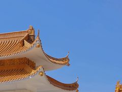 -深圳仙湖植物园