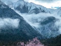 -雅鲁藏布江