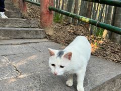 -敬亭山风景名胜区