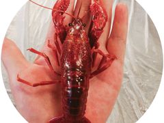-美膳居川菜馆油焖大虾烧烤(卓刀泉店)