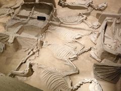 -洛阳周王城天子驾六博物馆