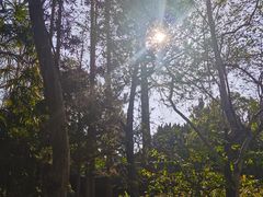 -汇龙潭
